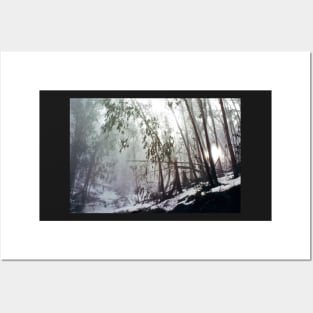 Misty Trees, Mount Buffalo Posters and Art